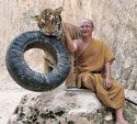 Kanchanaburi Thailand Tiger Temple