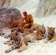 Kanchanaburi city Tiger Temple