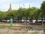 Bangkok Nightlife Videos