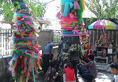 Thai people rub the tree's bark looking for lucky lottery numbers