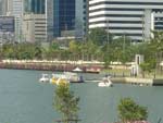 Paddle boat at the park