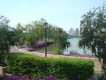 Picture of Jatuchak Bangkok