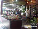 Chatuchak Market Bangkok